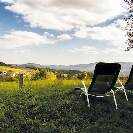 Panorama-Apartments Weinberghaus Mittelndorf Екстериор снимка
